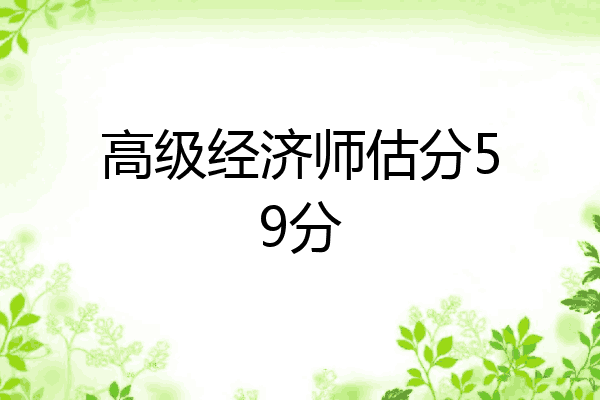 高级经济师估分59分