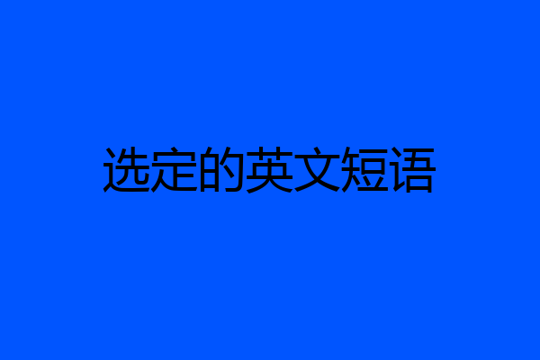 选定的英文短语