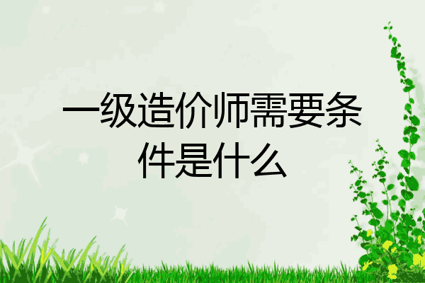 一级造价师需要条件是什么