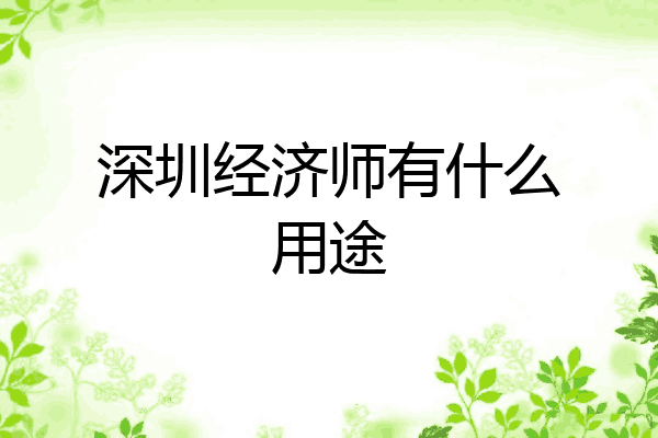 深圳经济师有什么用途