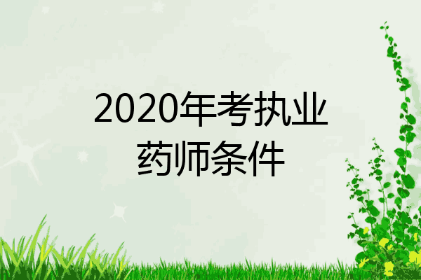 2020年考执业药师条件