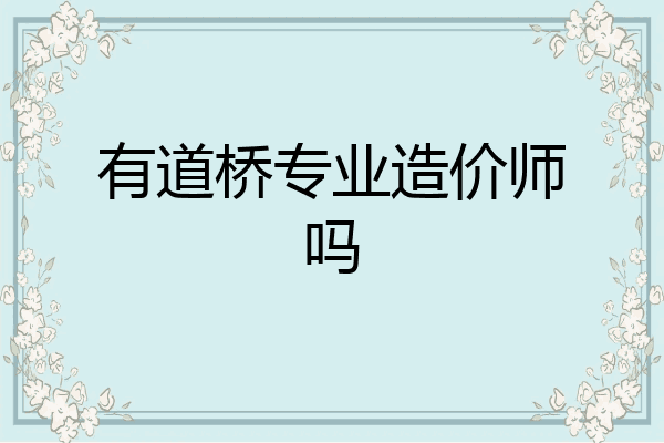 有道桥专业造价师吗
