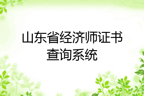 山东省经济师证书查询系统