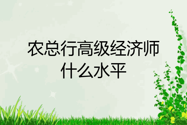 农总行高级经济师什么水平