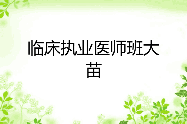 临床执业医师班大苗