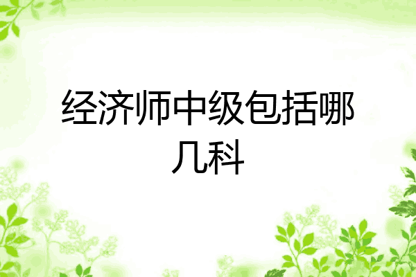 经济师中级包括哪几科