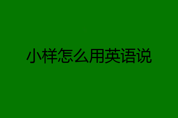 小样怎么用英语说