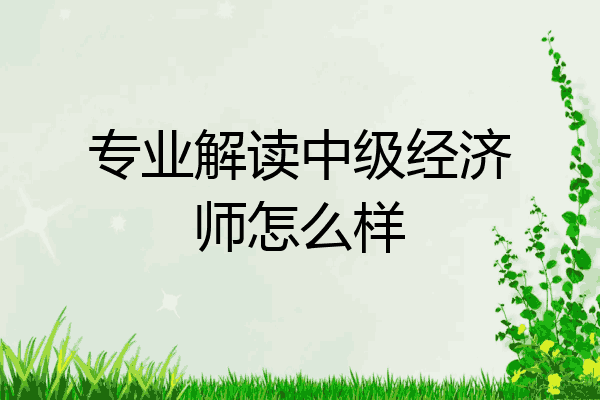 专业解读中级经济师怎么样