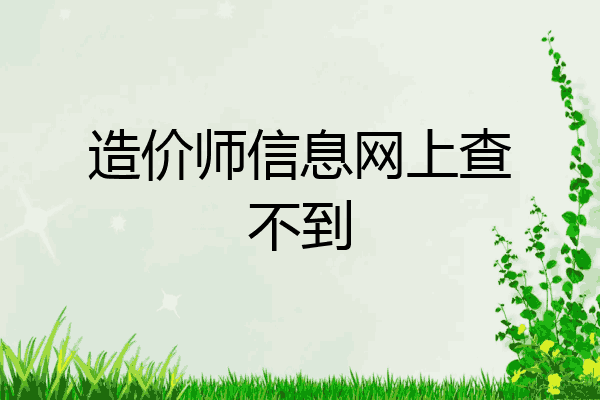 造价师信息网上查不到