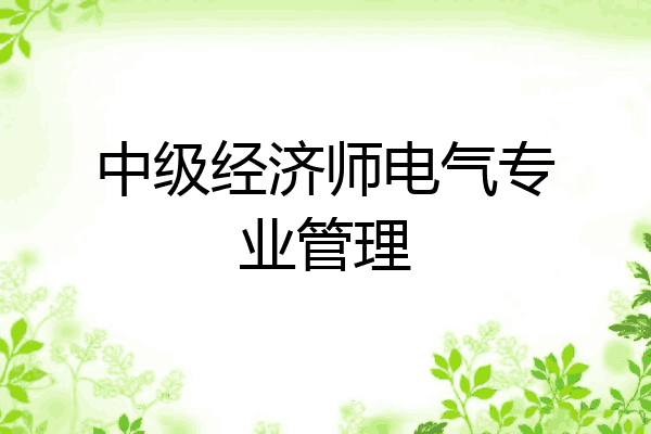 中级经济师电气专业管理