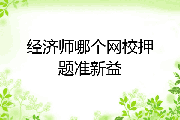 经济师哪个网校押题准新益