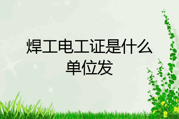 焊工电工证是什么单位发