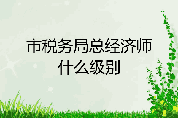 市税务局总经济师什么级别