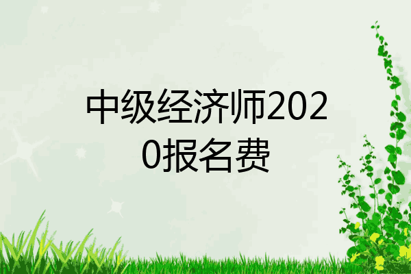 中级经济师2020报名费
