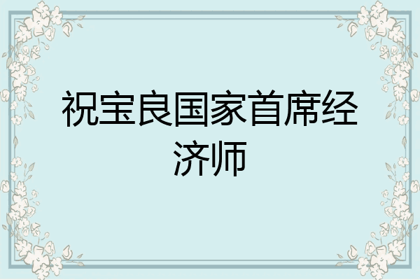 祝宝良国家首席经济师