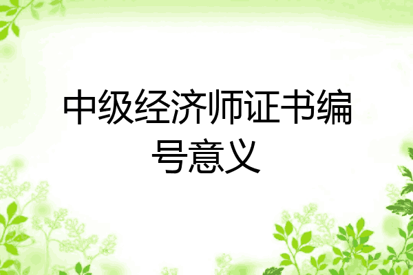 中级经济师证书编号意义