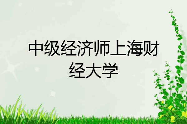 中级经济师上海财经大学
