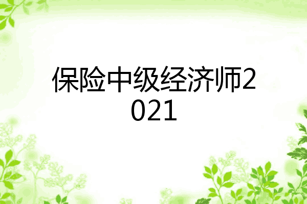 保险中级经济师2021
