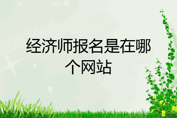 经济师报名是在哪个网站