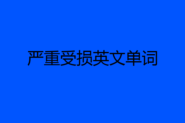 严重受损英文单词