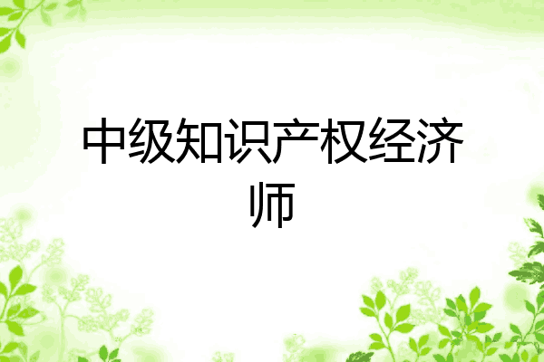 中级知识产权经济师