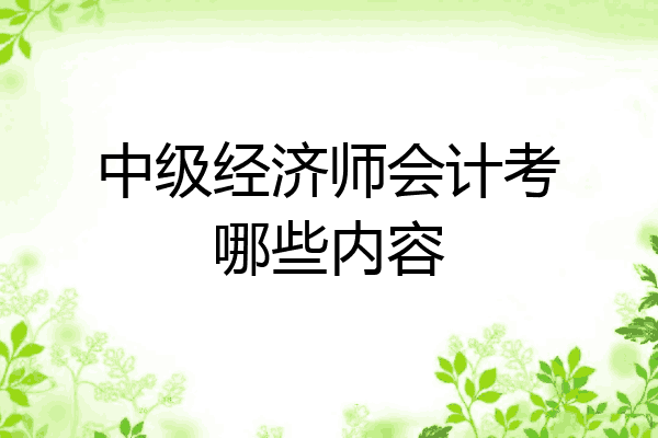 中级经济师会计考哪些内容