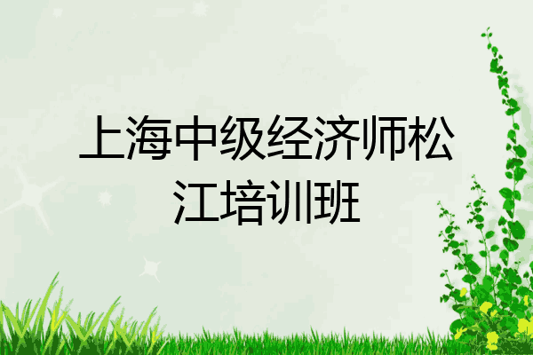 上海中级经济师松江培训班