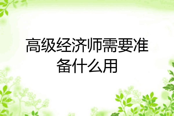 高级经济师需要准备什么用