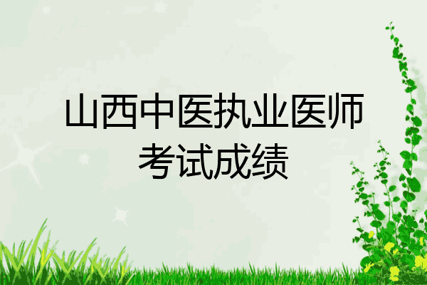 山西中医执业医师考试成绩