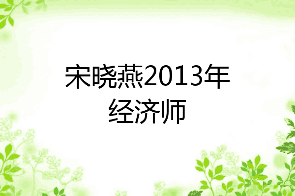 宋晓燕2013年经济师