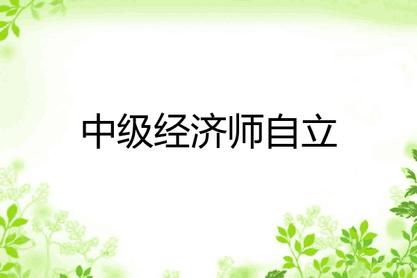 中级经济师自立