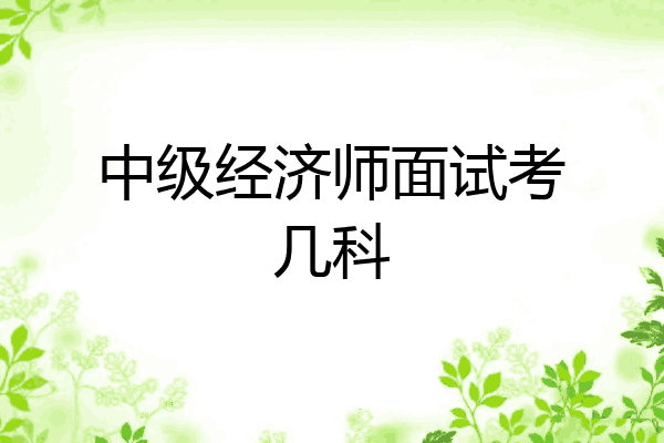 中级经济师面试考几科