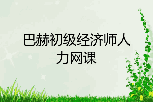 巴赫初级经济师人力网课