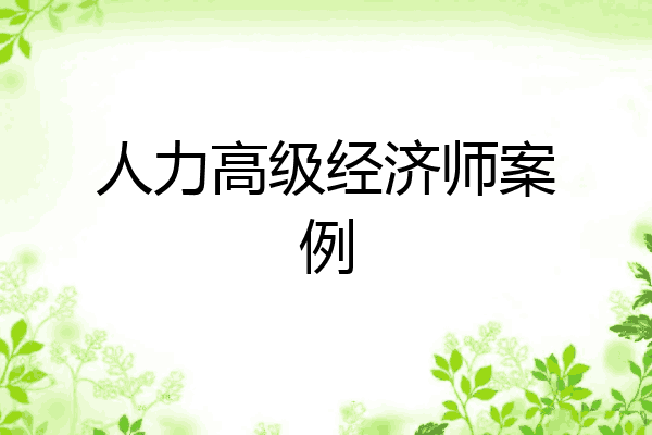 人力高级经济师案例