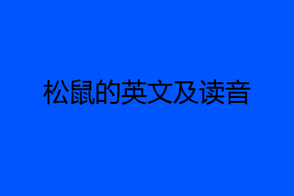 松鼠的英文及读音