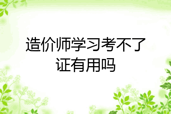 造价师学习考不了证有用吗