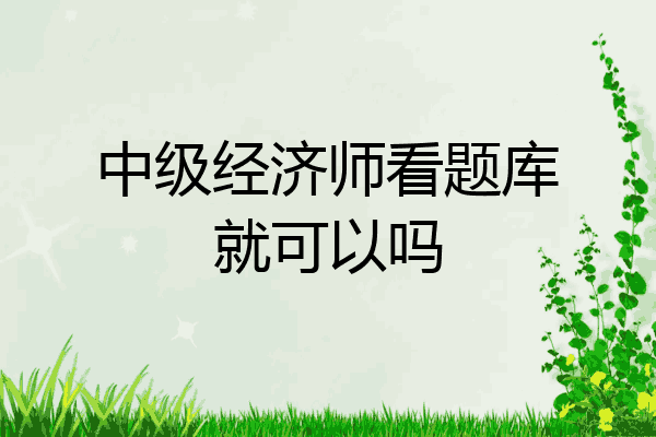 中级经济师看题库就可以吗