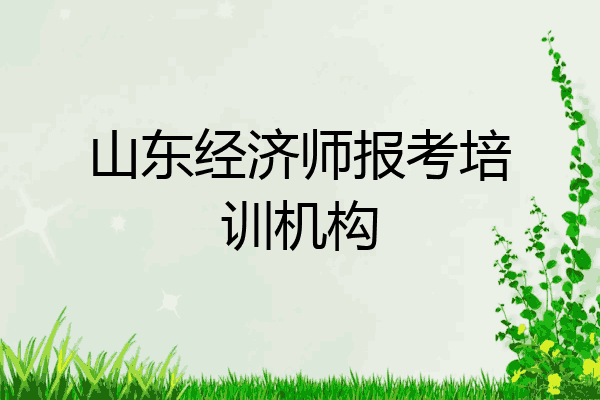 山东经济师报考培训机构