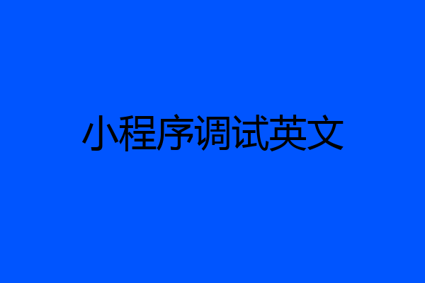 小程序调试英文