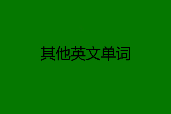其他英文单词