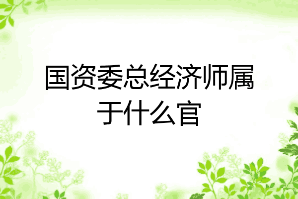 国资委总经济师属于什么官