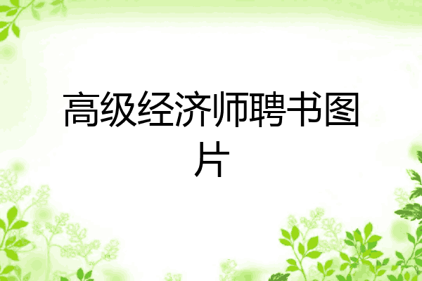 高级经济师聘书图片