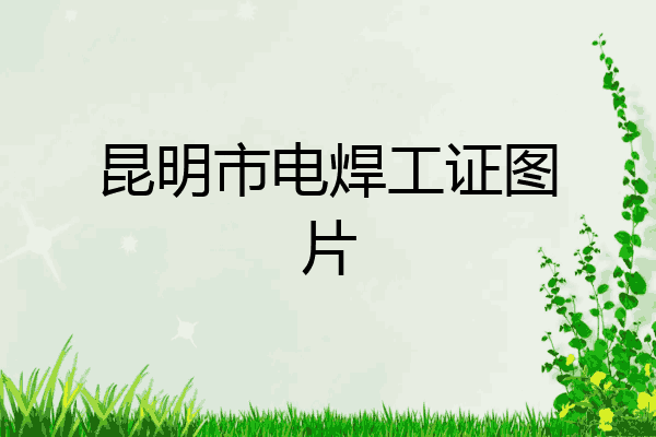 昆明市电焊工证图片