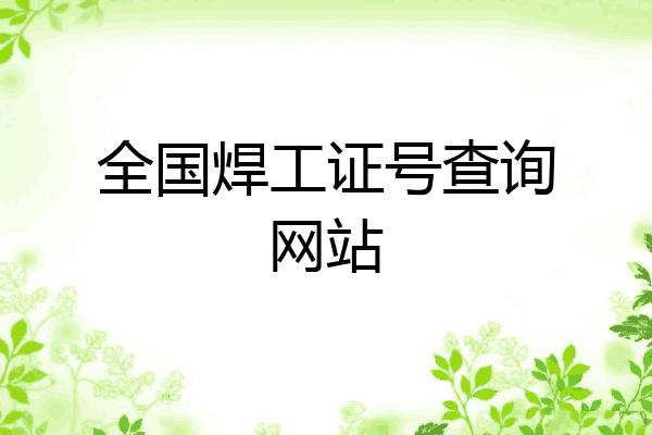 全国焊工证号查询网站