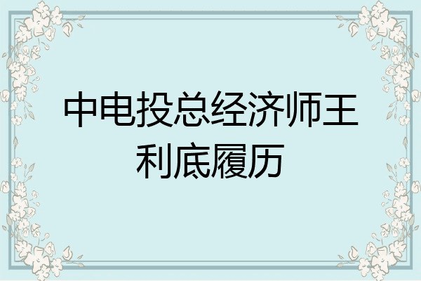 中电投总经济师王利底履历