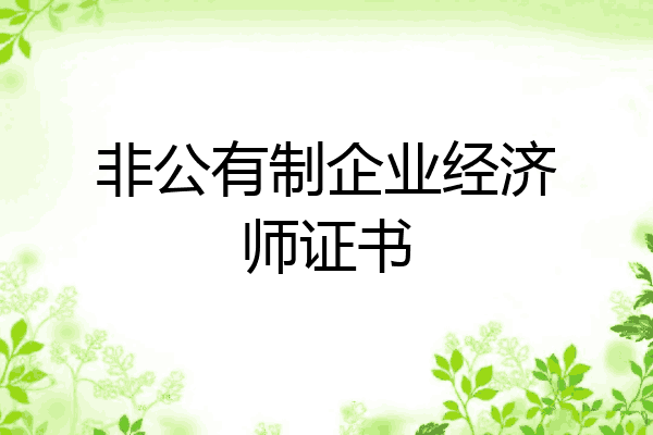 非公有制企业经济师证书