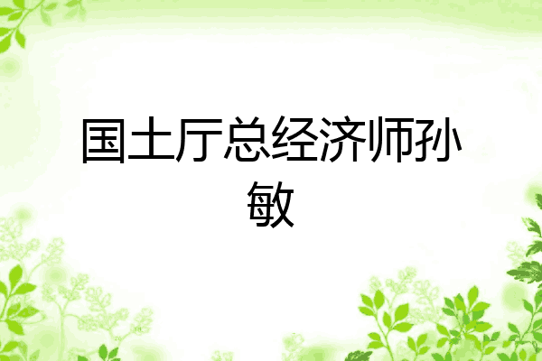 国土厅总经济师孙敏
