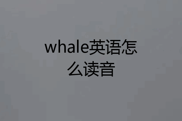 whale英语怎么读音