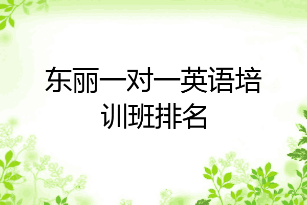 东丽一对一英语培训班排名
