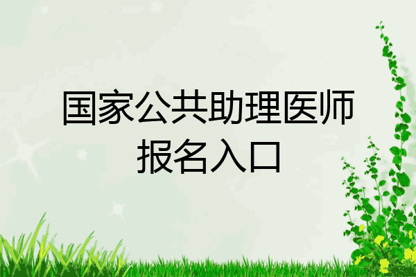 国家公共助理医师报名入口